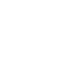 gobi